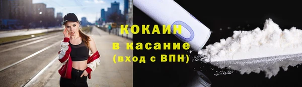 хмурый Арсеньев