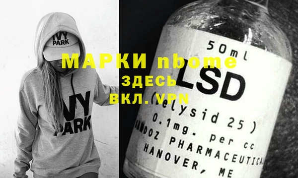 хмурый Арсеньев