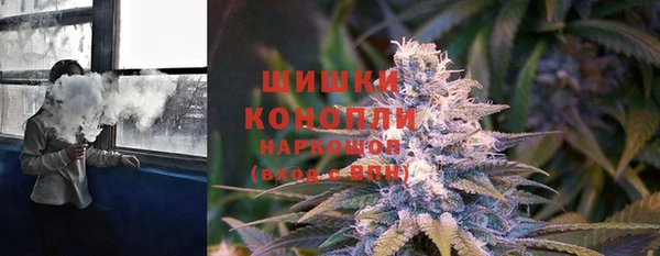 хмурый Арсеньев