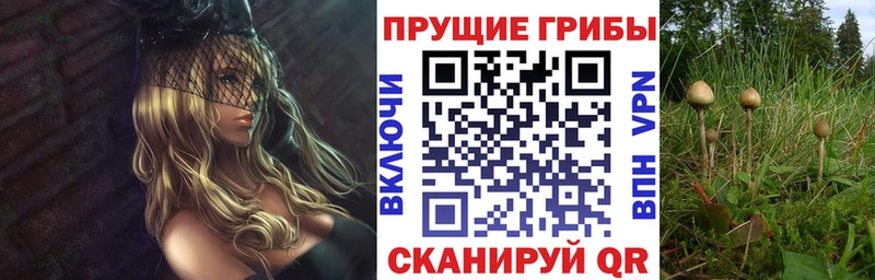 купить  цена  Североморск  Галлюциногенные грибы прущие грибы 